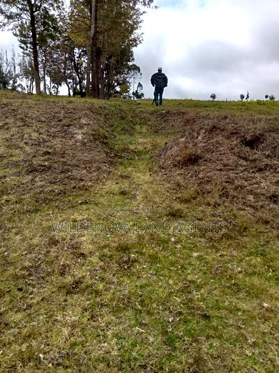 2 Acres of Land Sale at Kenyatta Road - Image 9