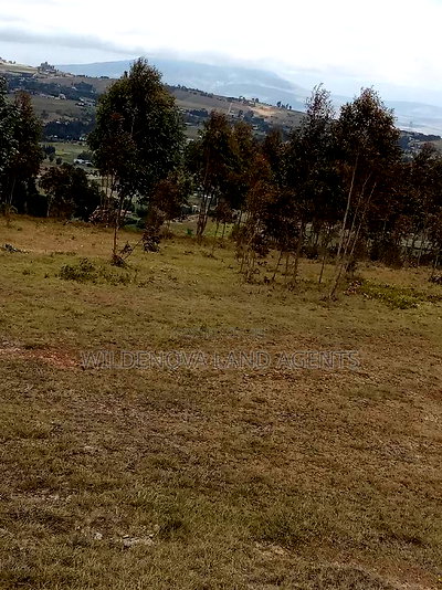2 Acres of Land Sale at Kenyatta Road - Image 2