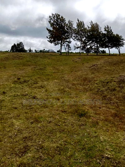 2 Acres of Land Sale at Kenyatta Road - Image 11