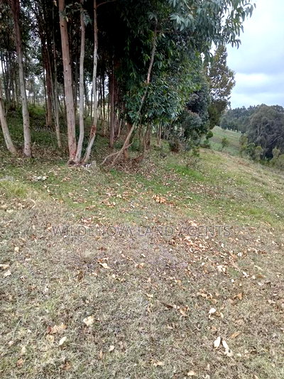 2 Acres of Land Sale at Kenyatta Road - Image 12