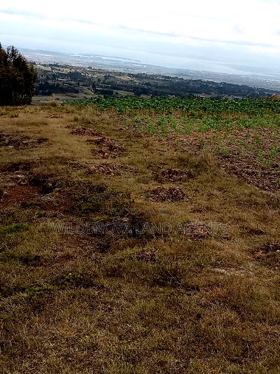 2 Acres of Land Sale at Kenyatta Road - Image 4