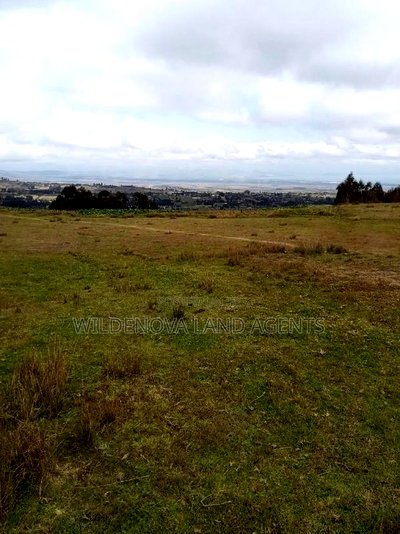 2 Acres of Land Sale at Kenyatta Road - Image 8