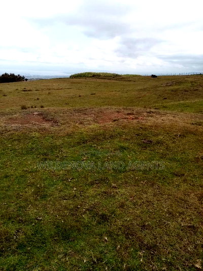 2 Acres of Land Sale at Kenyatta Road - Image 5