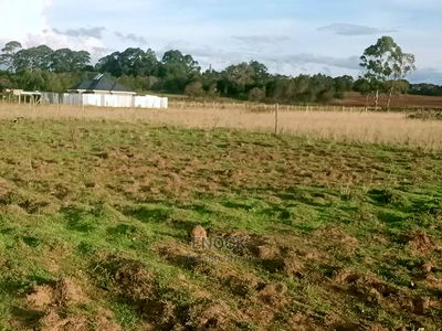 Deal Residential 1/8acre for Sale in Ilula - Image 3