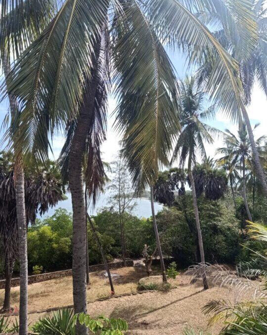 0.3 Acre Ocean Access Plot