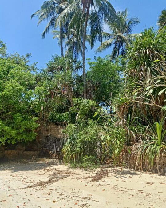 0.3 Acre Ocean Access Plot