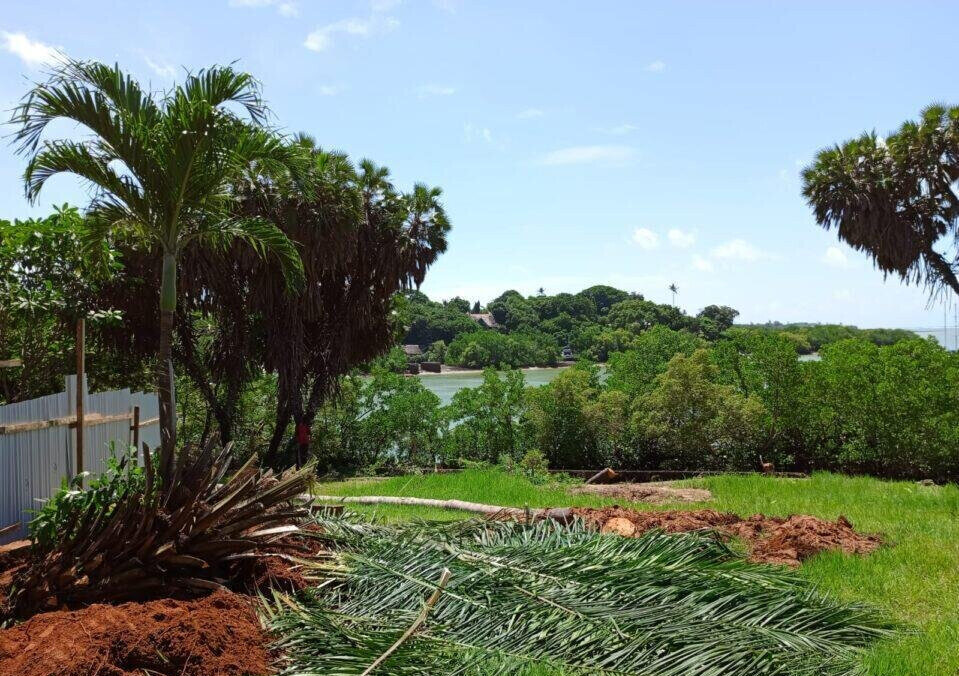 0.3 Acre Ocean Access Plot