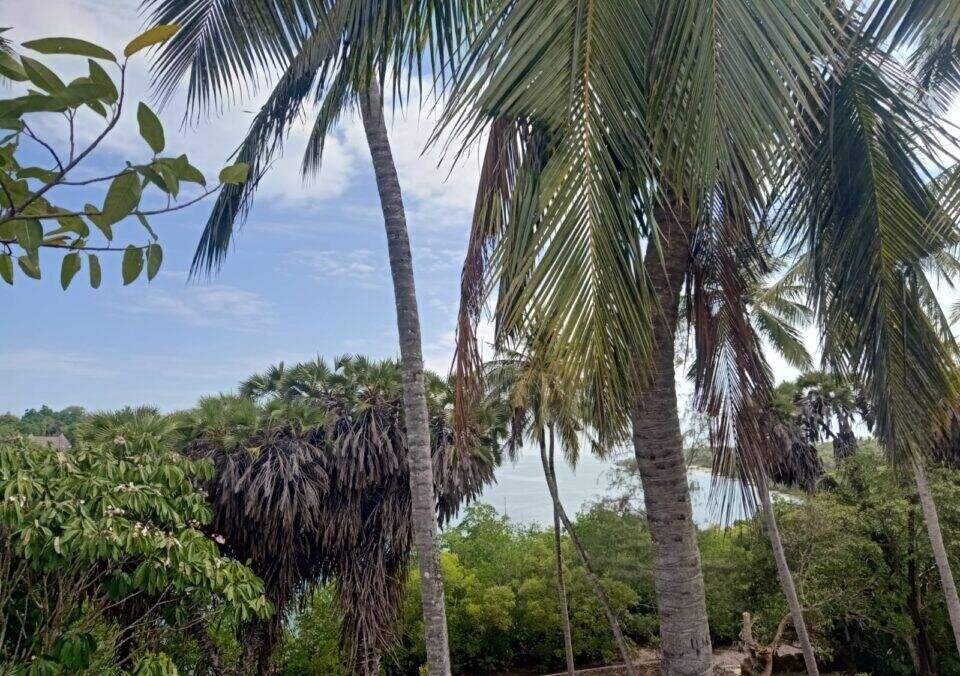 0.3 Acre Ocean Access Plot