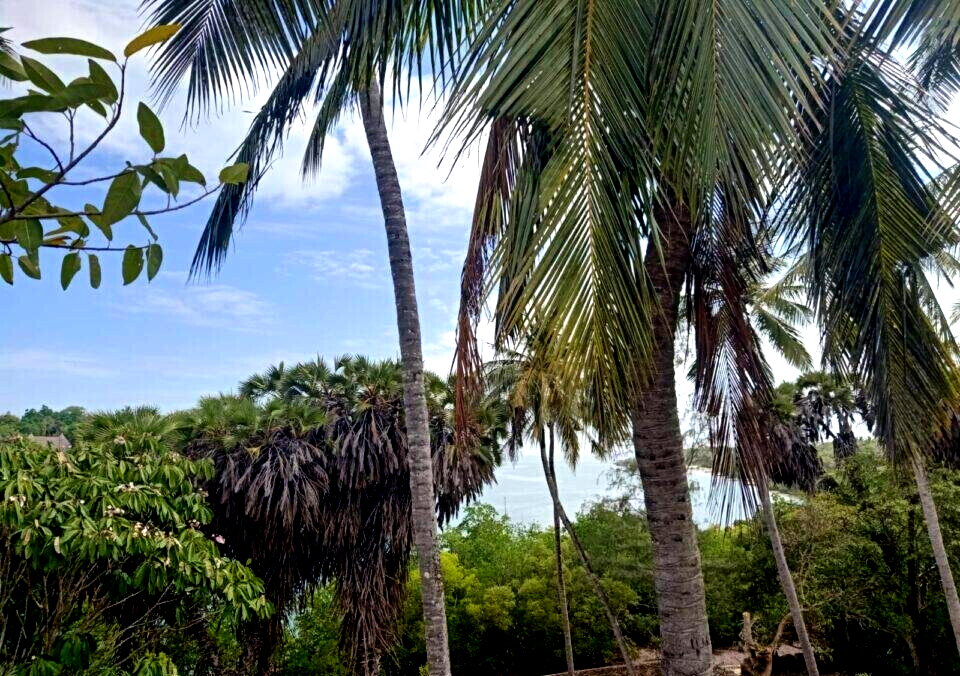0.3 Acre Ocean Access Plot