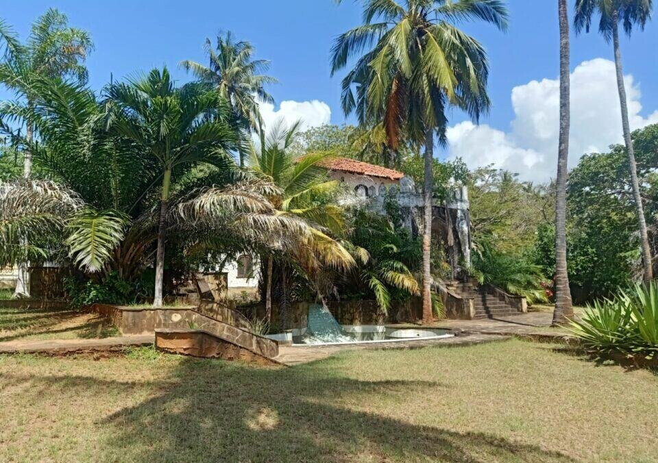 0.3 Acre Ocean Access Plot