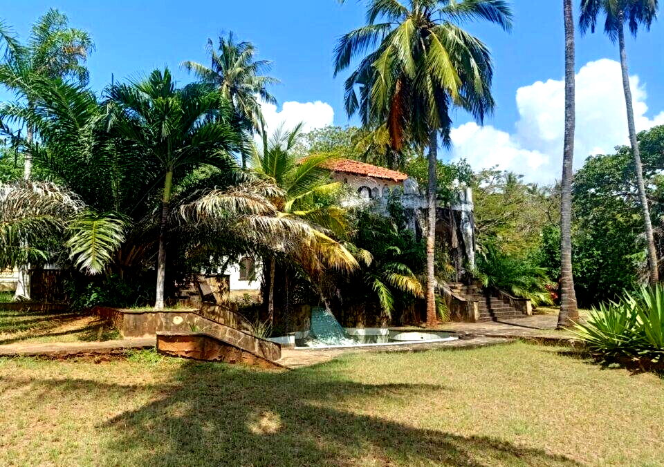 0.3 Acre Ocean Access Plot