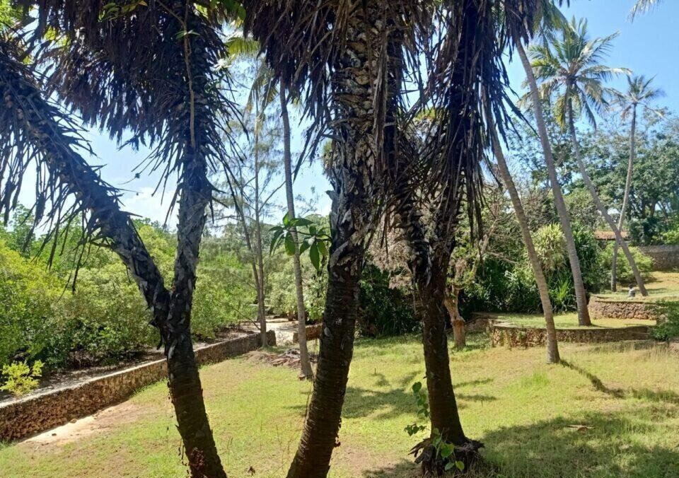 0.3 Acre Ocean Access Plot