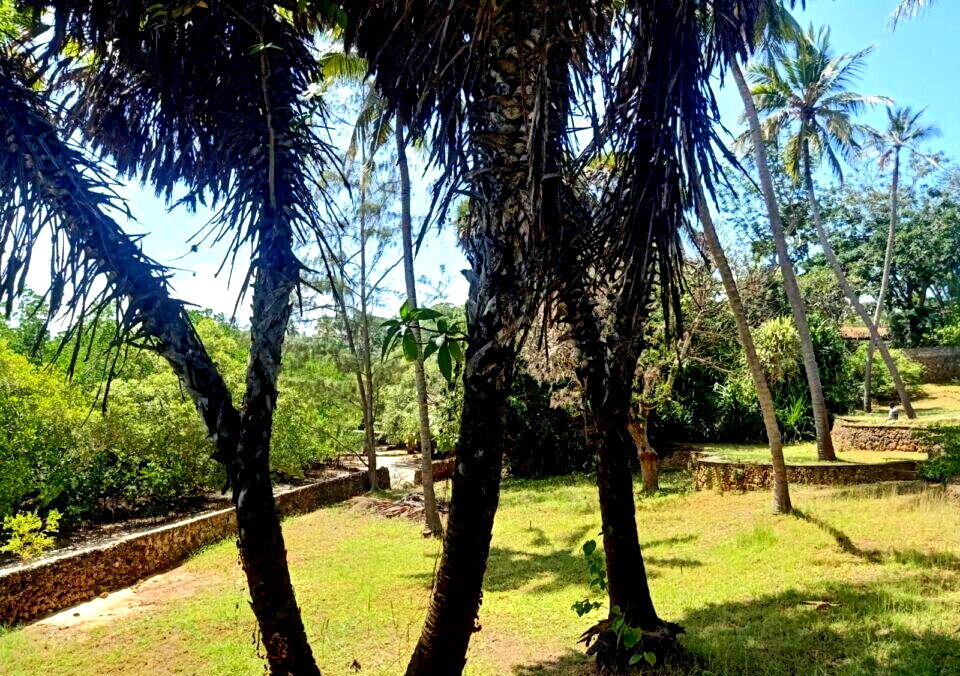 0.3 Acre Ocean Access Plot