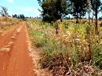 Two 40x80 Residential Plots at Anmer Estate - Image 7