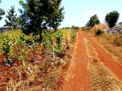 Two 40x80 Residential Plots at Anmer Estate - Image 4