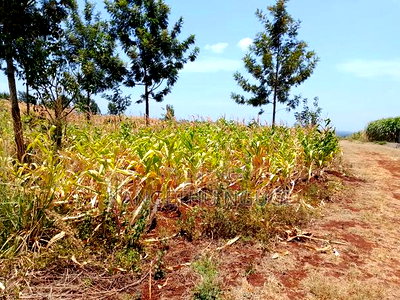 Two 40x80 Residential Plots at Anmer Estate - Image 5