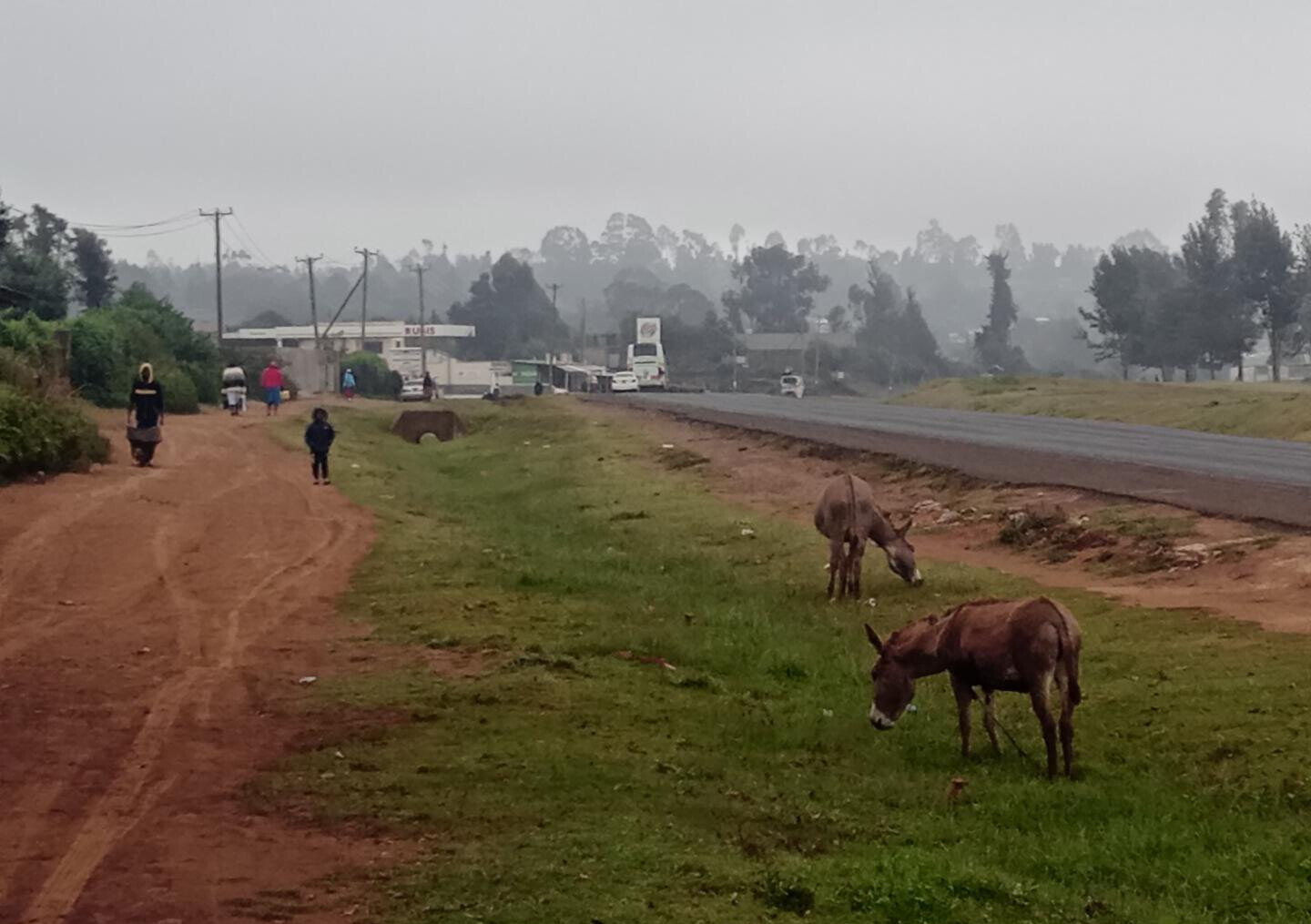 1 Acre Garden Plot in Limuru CBD