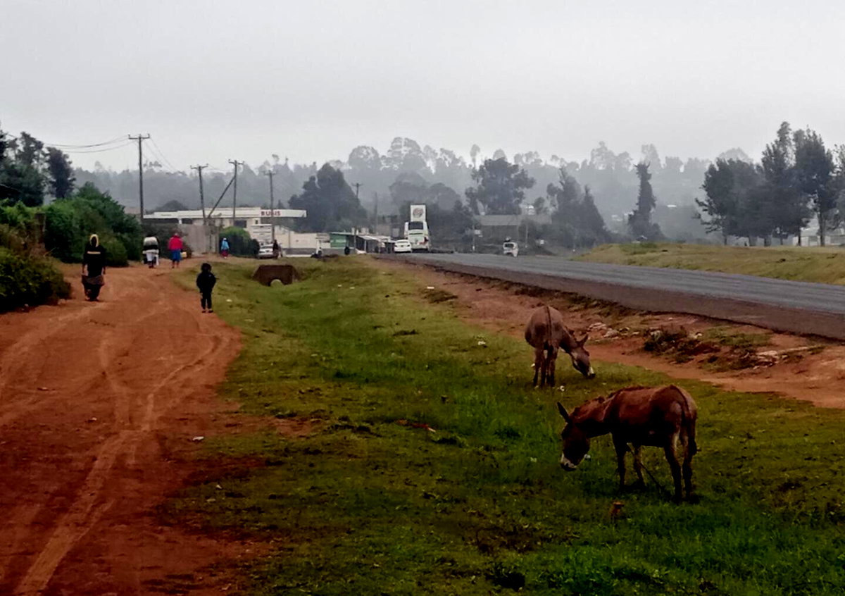 1 Acre Garden Plot in Limuru CBD