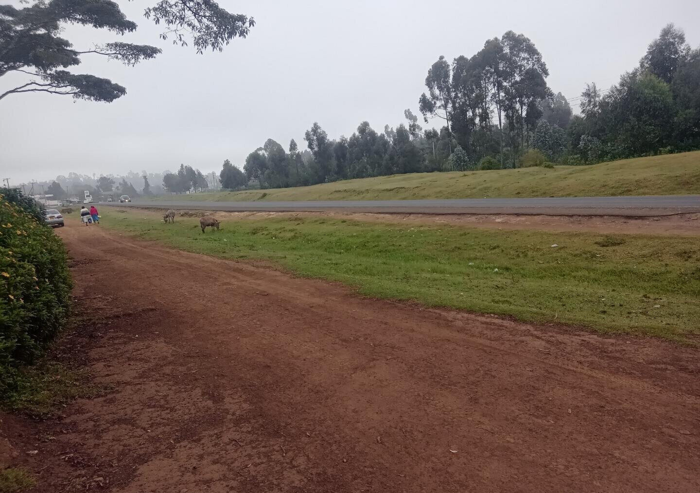 1 Acre Garden Plot in Limuru CBD