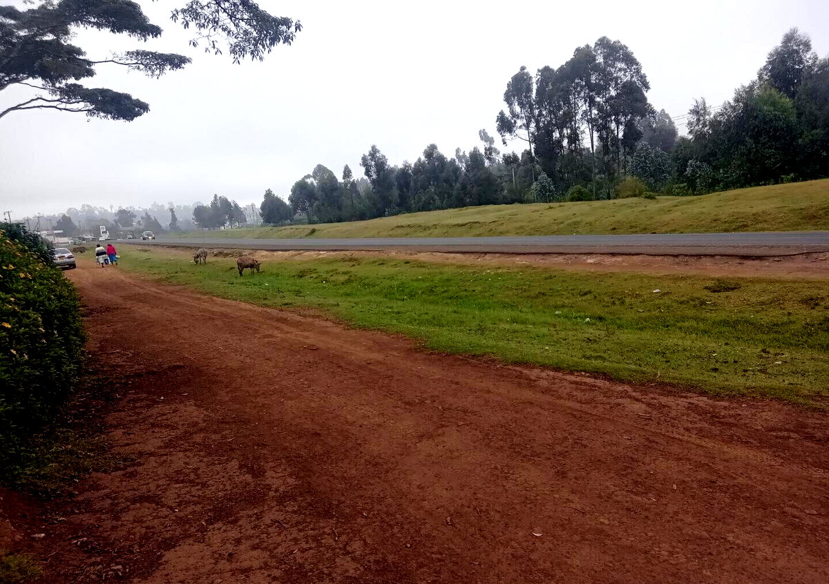 1 Acre Garden Plot in Limuru CBD
