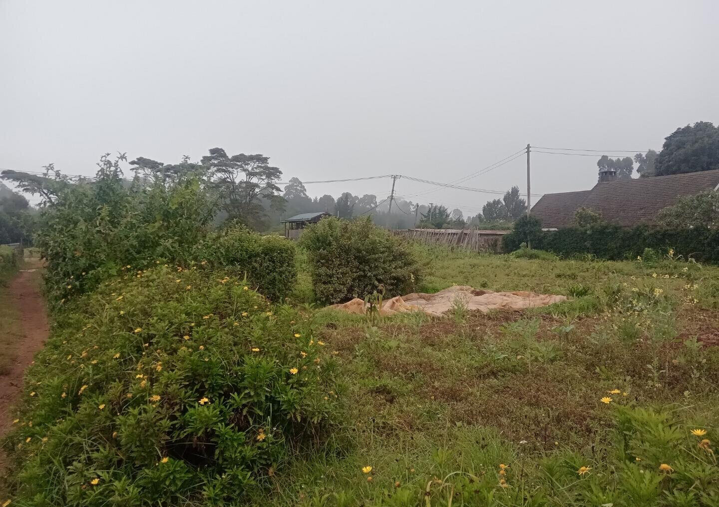 1 Acre Garden Plot in Limuru CBD