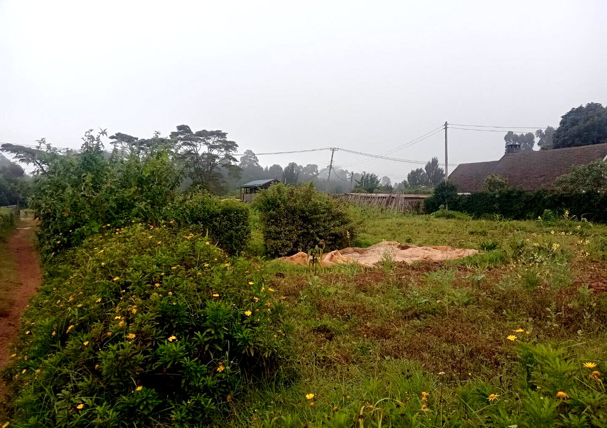 1 Acre Garden Plot in Limuru CBD