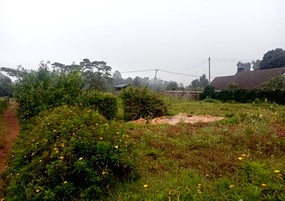 1 Acre Garden Plot in Limuru CBD