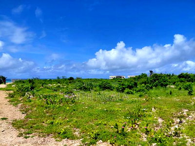 3 Acres Beach Creek Land Injacaranda Watamu at 66m Negotiable - Image 8