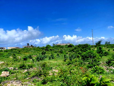 3 Acres Beach Creek Land Injacaranda Watamu at 66m Negotiable - Image 9