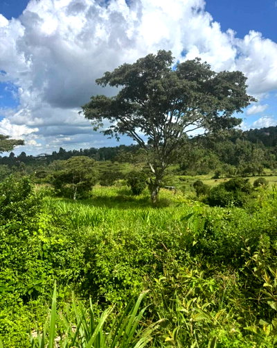 KSh 24M Freehold Land in Ol Keri