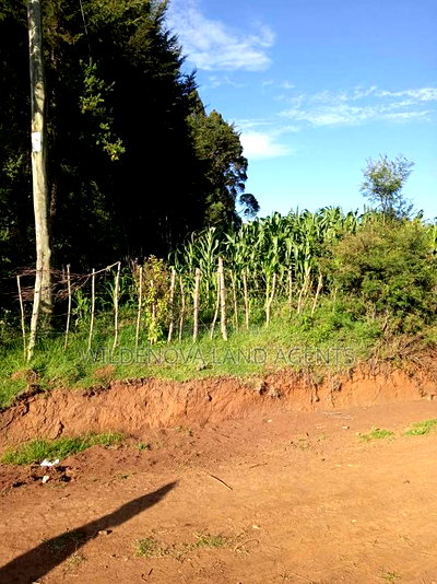 Land on Sale at Jabini. Kinangop - Image 2