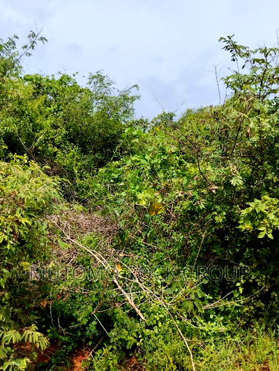 44acres for Sale - Image 3