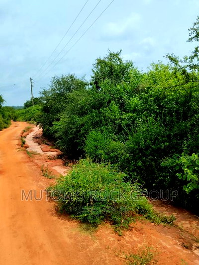 44acres for Sale - Image 1