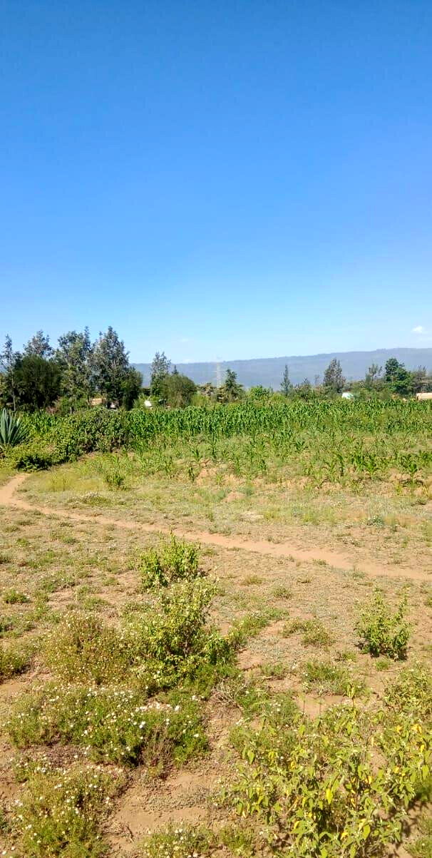 50x100 Plot for KSh 475K