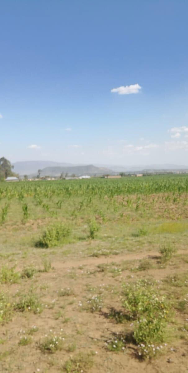 50x100 Plot for KSh 475K