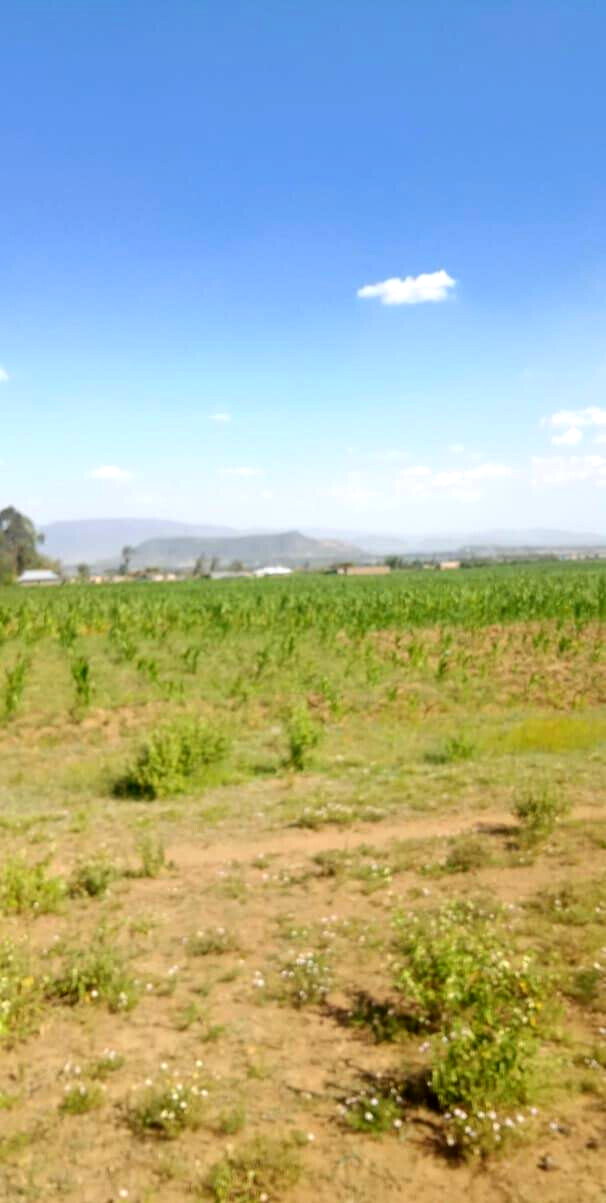 50x100 Plot for KSh 475K