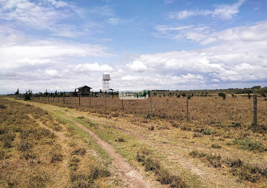 Quarter Acre Plot in Kisaju
