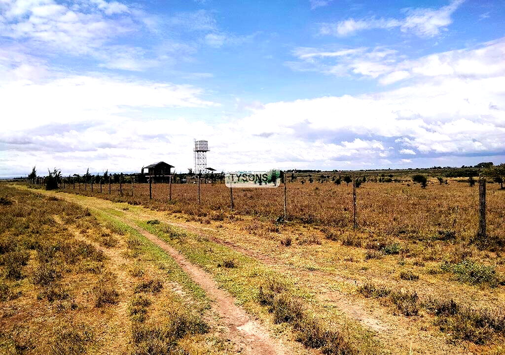 Quarter Acre Plot in Kisaju