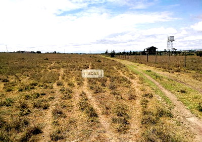 Quarter Acre Plot in Kisaju