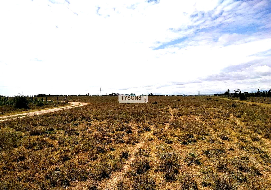 Quarter Acre Plot in Kisaju