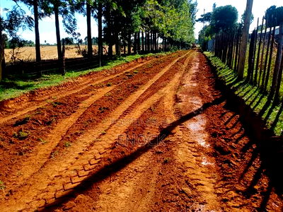 Prime New Plots Near Sogomo University of Eldoret, - Image 2