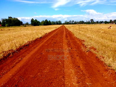 Prime New Plots Near Sogomo University of Eldoret, - Image 4