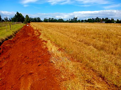 Prime New Plots Near Sogomo University of Eldoret, - Image 3