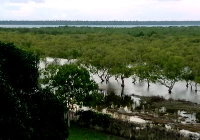 2.7-Acre Creekfront Estate in Kilifi South
