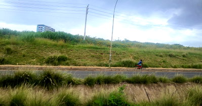 2.8-Acre Garden Plot in Kasarani