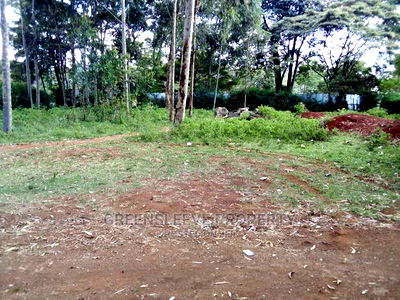 Half Acre Land for Leasing - Image 2