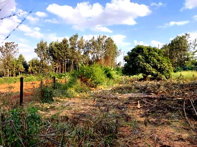 Kiukenda Estate 1\2 Acre Plot for Sale - Image 2