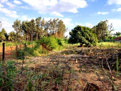 Kiukenda Estate 1\2 Acre Plot for Sale - Image 3