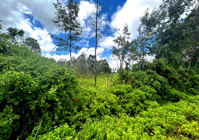 Half Acre Plot with Garden in Mua