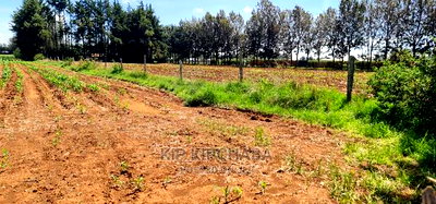 1 Acre for Sale in Marura After Kimumu in Eldore - Image 6